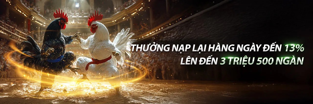 Tổng hợp các ưu đãi mới nhất của ko66c